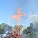 Profile picture of Mark Davis